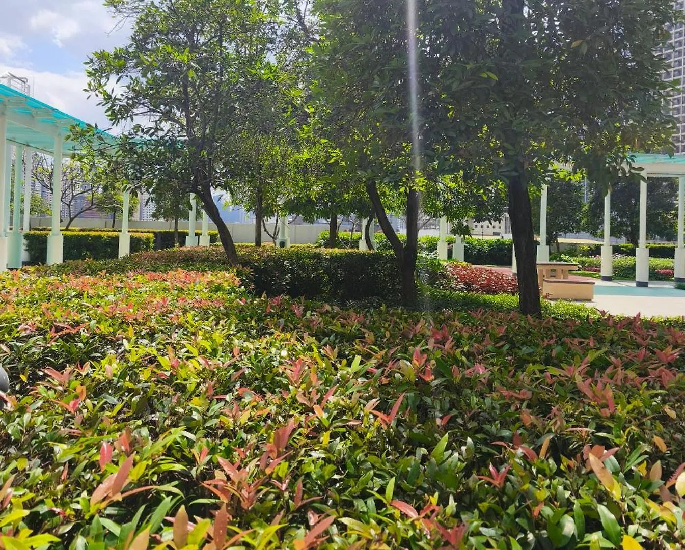Apartment Condo Unit-Sm Jazz Residences Manila Philippines